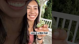 Trying the Love in a Mist Passion Fruit for the first time 😬 #shorts #fruit #tasting