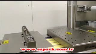 Espack Kashar-8 Thermoform Packaging Machine