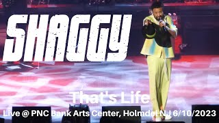 Shaggy - That's Life (Frank Sinatra) LIVE @ PNC Bank Arts Center Holmdel NJ 6/10/2023