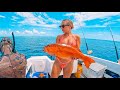 Surviving at sea in remote north australia   catch  cook coral trout  part 3 