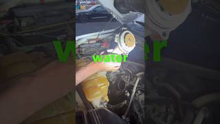 Ford 5.0 Coyote Most Common Coolant Leaks #shorts #ford #coyote