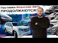 Продолжаем вывозить авто из Японии❗Prado❗X-Trail❗Freed❗Fit ❗Note❗