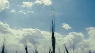 Kürtçe Çok Güzel Whatsapp Durumu Kürtçe Duygu Dolu Whatsapp Durumları Güzel Şarkı 2020 Şarkısı