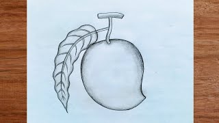 Mango Drawing / How to Draw a Mango With Pencil Easy Steps / Simple Mango Drawing