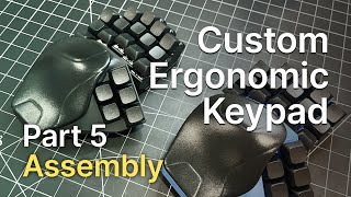 Celebrity Part 5 — Final Assembly & In-Game Testing Wealth