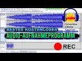 Bestes KOSTENLOSES Audio Aufnahmeprogramm | Audacity Tutorial Mp3 Song