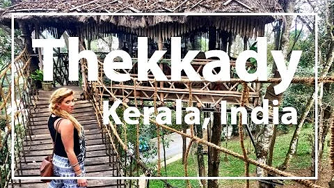 Kerala, India Thekkady: Monkeys, Elephants, Shopping & Treehouse!