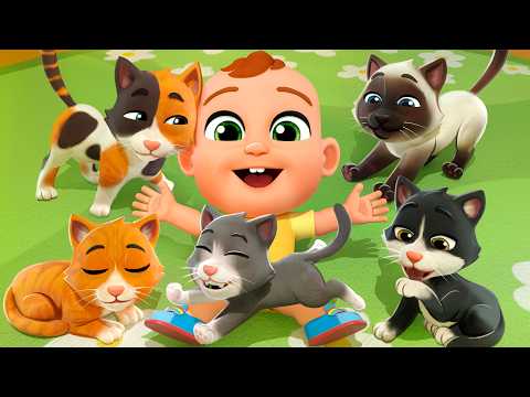 Find the Hiding Kittens! | 5 Little Kittens Song | Lala Baby Songs & Nursery Rhymes