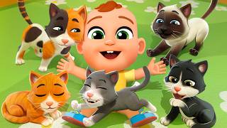 find hiding kittens 5 little kittens song lala baby songs