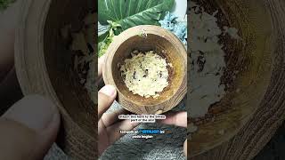 Jangan panik...❌❗lakukan ini jika digigit lipan atau ular ⁉️😱 #tips #tipsandtricks #tutorial #herbal