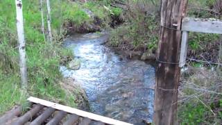 Three Minutes And Thirty Three Seconds Of Walking Around The Cabin Area