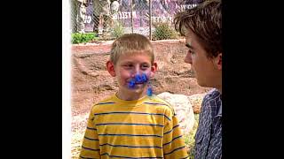 Two tigers are staring at the two brothers./🎬Malcolm in the Middle 3#edit #film #movie