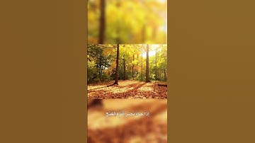 سورة النصر بصوت ماهر المعيقلي