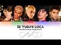 Cnco  se vuelve loca spanish  english translation color coded lyrics