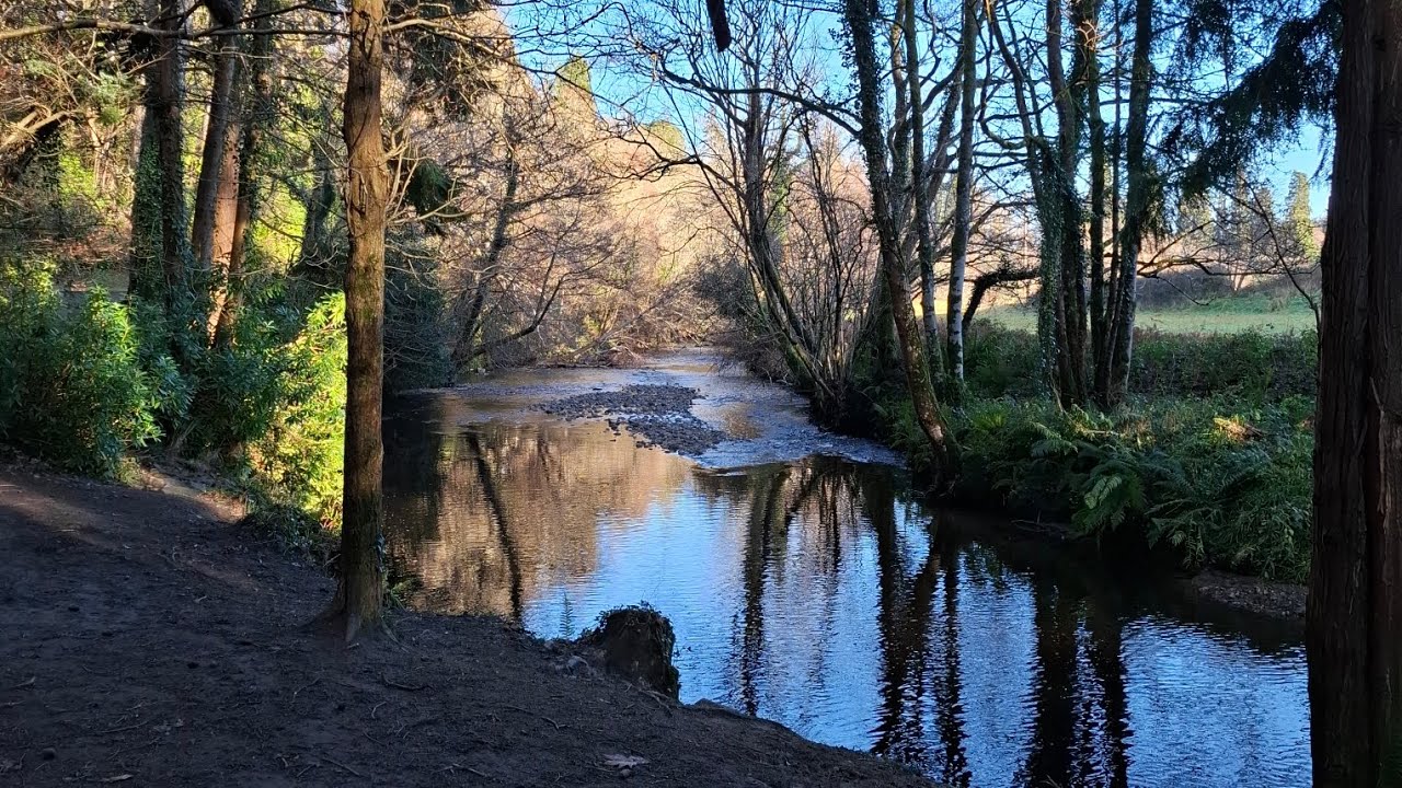 JANUARY WALK BY THE DARGLE