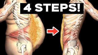 How To Lose Belly Fat| Lose Weight in 4 steps? (Based on Science）