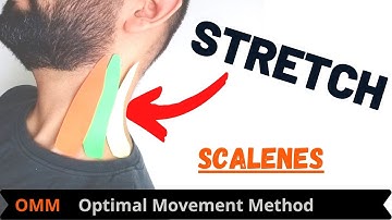 Neck Stretches | Scalene Stretch