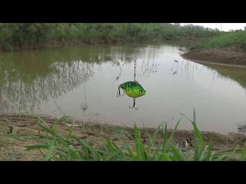 Video tees thư mời lure dk4 kt quá bất ngờ - youtube