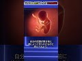 世界はいつから始まった?5分前仮設!?#都市伝説#予言#宇宙#shorts