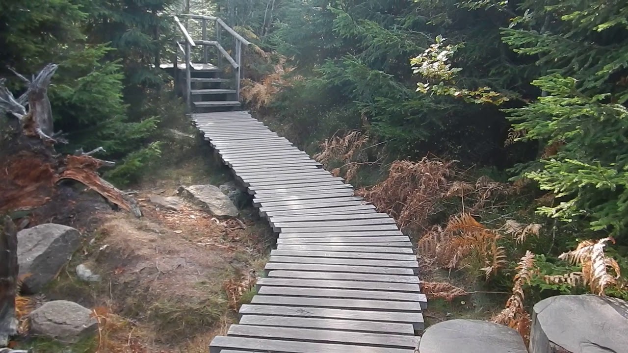 Impressionen auf und rund um den Lotharpfad im Schwarzwald mit Abstecher zur Murgquelle