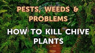 All necessary for pest control
https://amzn.to/2rlu5cg---------------how to kill chive plants. chives
are among the hardiest of though they often...