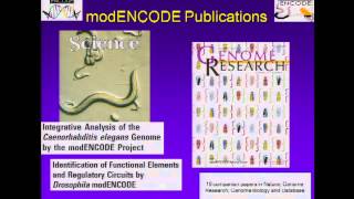 Overview of the modENCODE Project - Elise Feingold