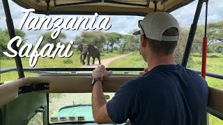 Great Migration Calving Season | 6 Day Safari in Tanzania