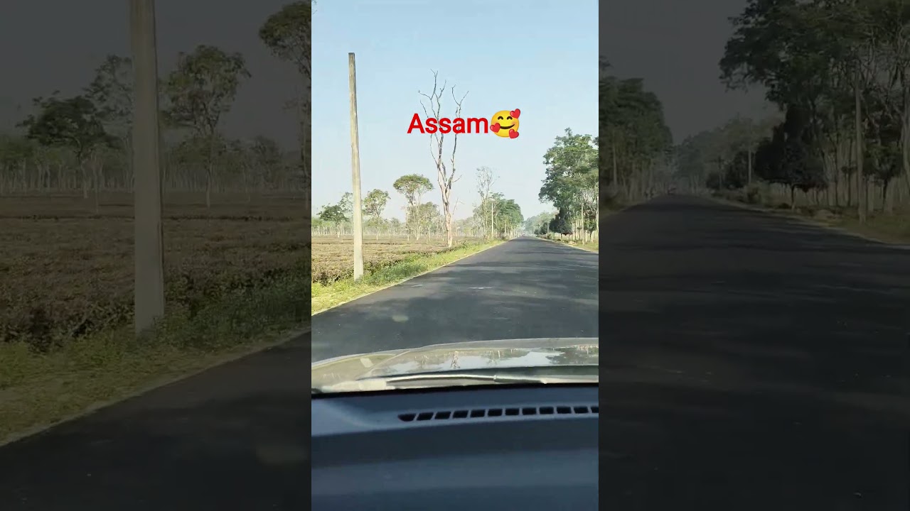 Beautiful Nature shorts🎊 