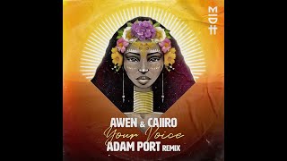 Awen & Caiiro - Your Voice (Adam Port Remix)
