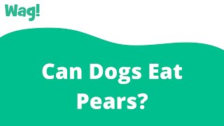 Can Dogs Eat Pears? | Wag! Is Pear Good For Dogs