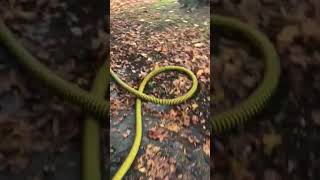 Sewage clean up part 3