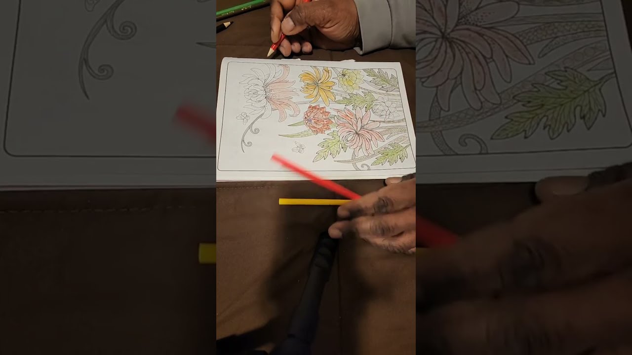 QUIET LIVE : COLOR THERAPY ASMR  # 3