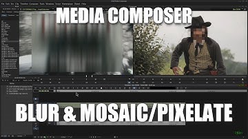 Media Composer - Blur and Mosaic/Pixelate Effect