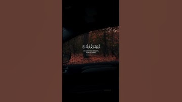 سورة الإخلاص - القارئ : أحمد النفيس | اكتب شيء تؤجر عليه💬🤍استغفر الله | دثِّروا إخوتنا في غـ.ـزة