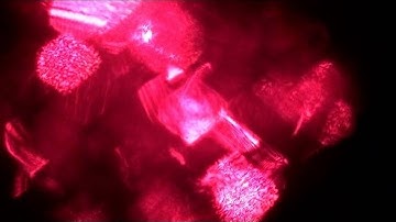 Visual Portfolio 2010