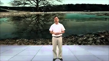 Synchronous learning Demo