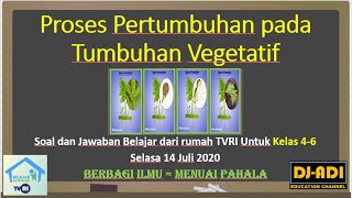 Soal dan pembahasan tvri sd kelas 4-6 selasa 14 juli 2020