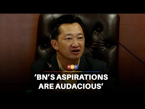 DAP man takes swipe at BN after trio miss term limit vote