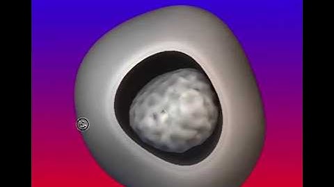 autoPACK model of HIV 1.4 running in PMV with Screen Space Ambient Occlusion and a Clipping Plane