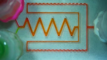 PDMS MicroFluidic Mixing Device Test