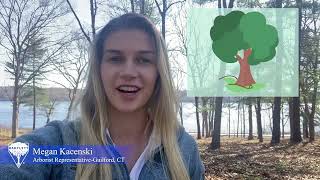 Arbor Day - Fun Facts About Trees