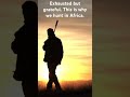 Golden Hour in Africa – End of a Hunting Day in the Wild #africawildlife #hunting #sunset