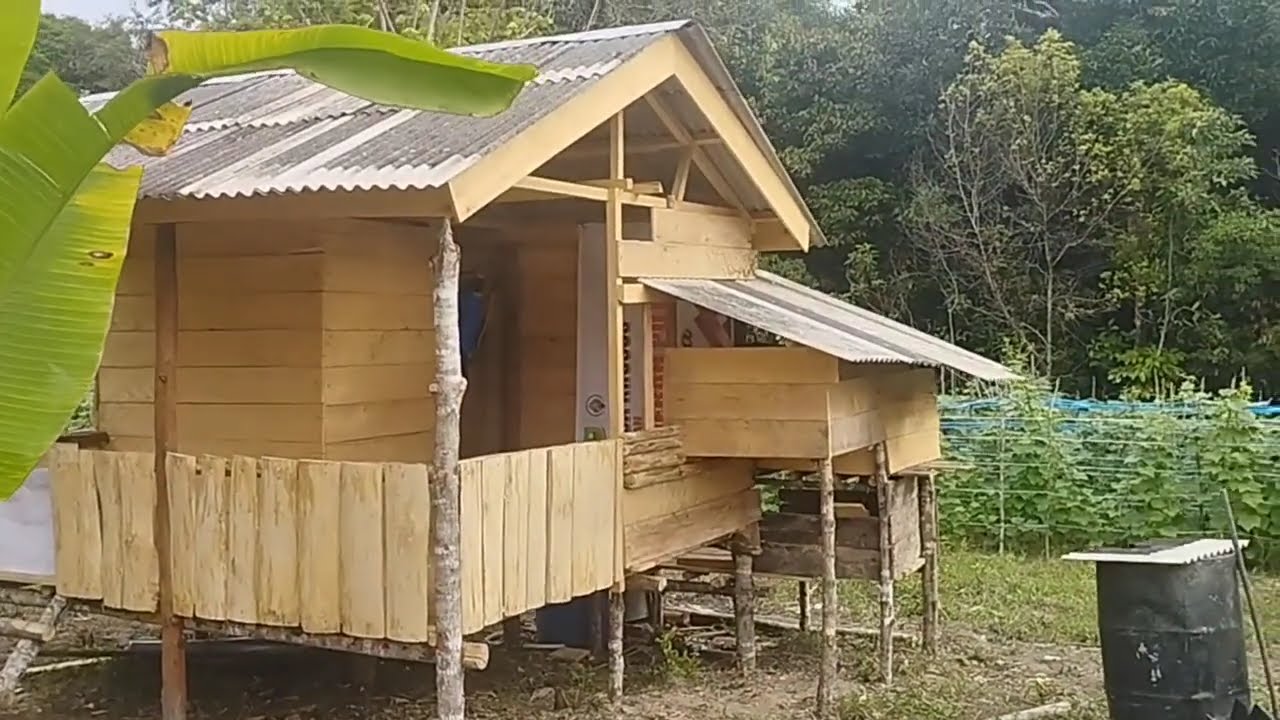 Membuat pondok di kebun 