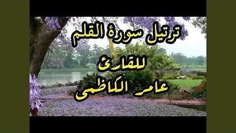 عامر الكاظمي سورة القلم