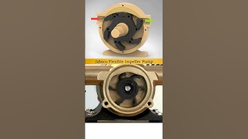 Flexible Impeller Pump - Working 3D Animation 😍✅