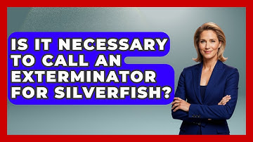 Is It Necessary To Call An Exterminator For Silverfish? - Insects and Invaders