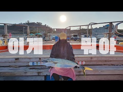 처음으로 도전 한 방어 <strong>부시리</strong> 지깅 <strong>낚시</strong>! Meet the enemy in sea fishing..