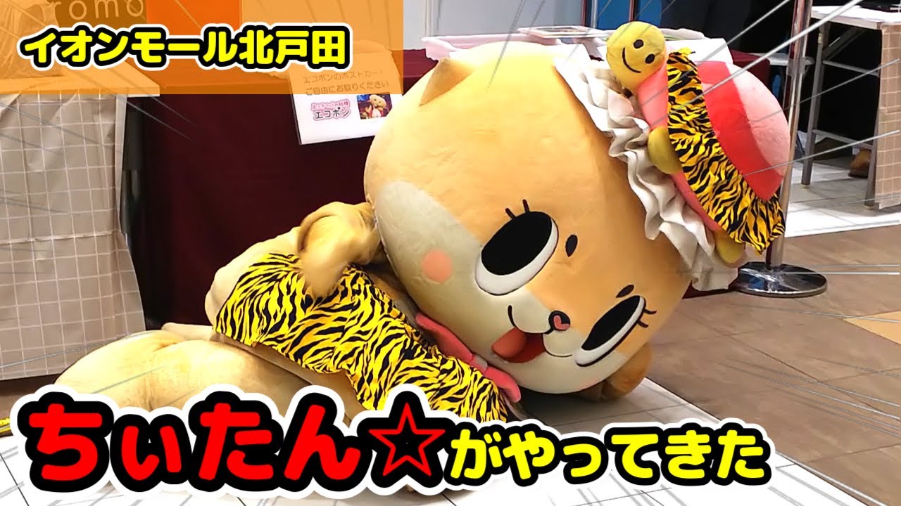 ちぇガッツ！ 新橋ニッショーホール【ちぃたん☆体操】【ちぃたん☆の