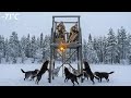 Two TRUE Widows Survive Alone at –71°C in Siberian Wilderness | They Fight Wolves Every Day