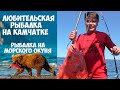 Рыбалка на морского окуня на Камчатке